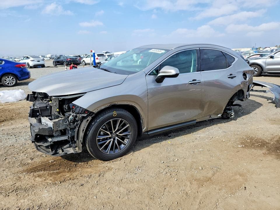 2023 LEXUS NX 250 - 1
