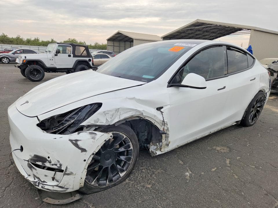 2021 TESLA MODEL Y - 1