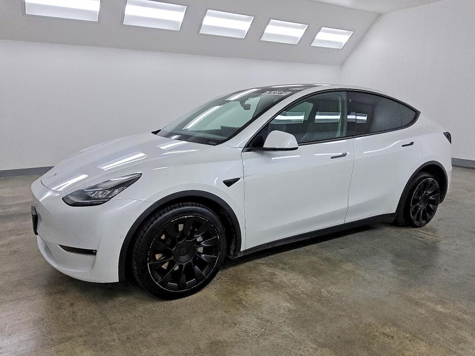 2022 TESLA MODEL Y - 1