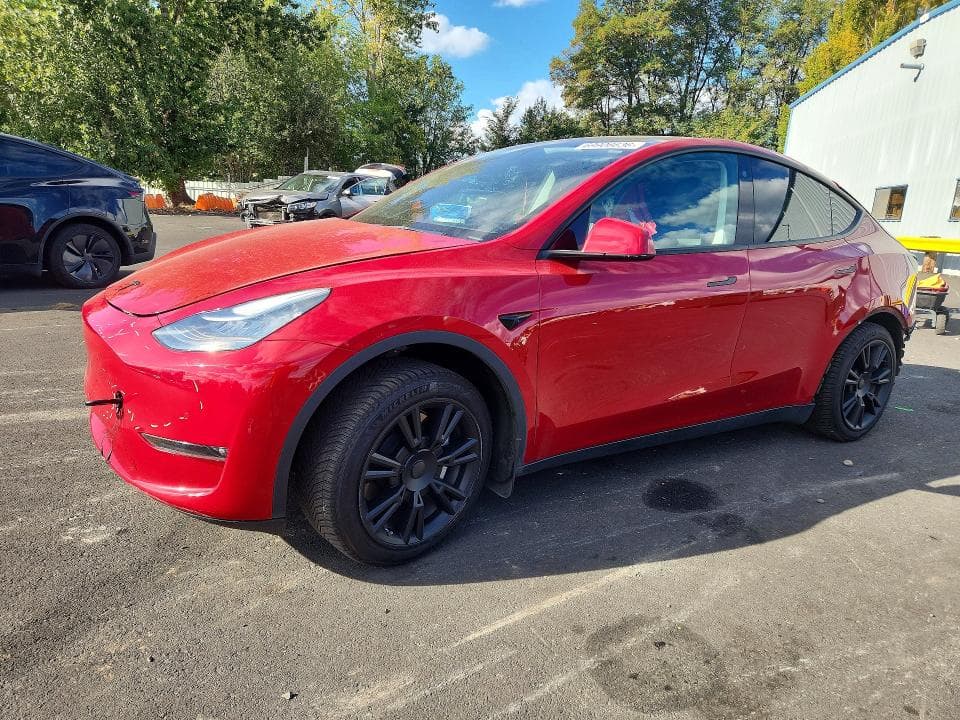 2021 TESLA MODEL Y - 1