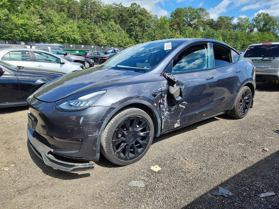 2021 TESLA MODEL Y - 1
