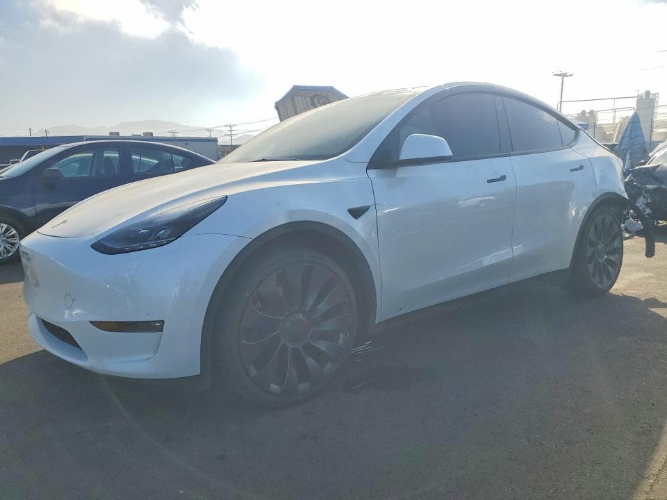 2025 TESLA MODEL Y - 1