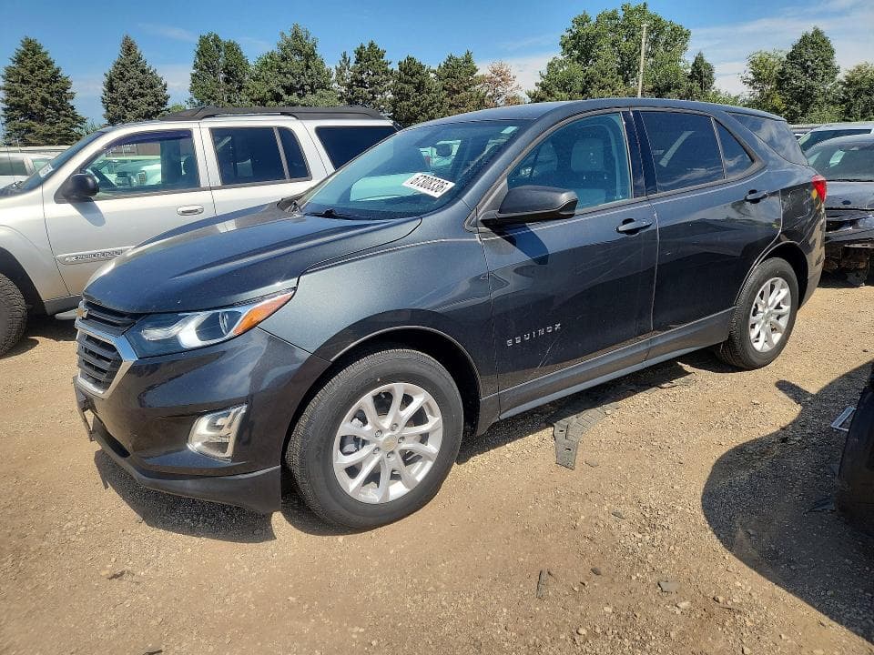 2019 CHEVROLET EQUINOX LS - 1