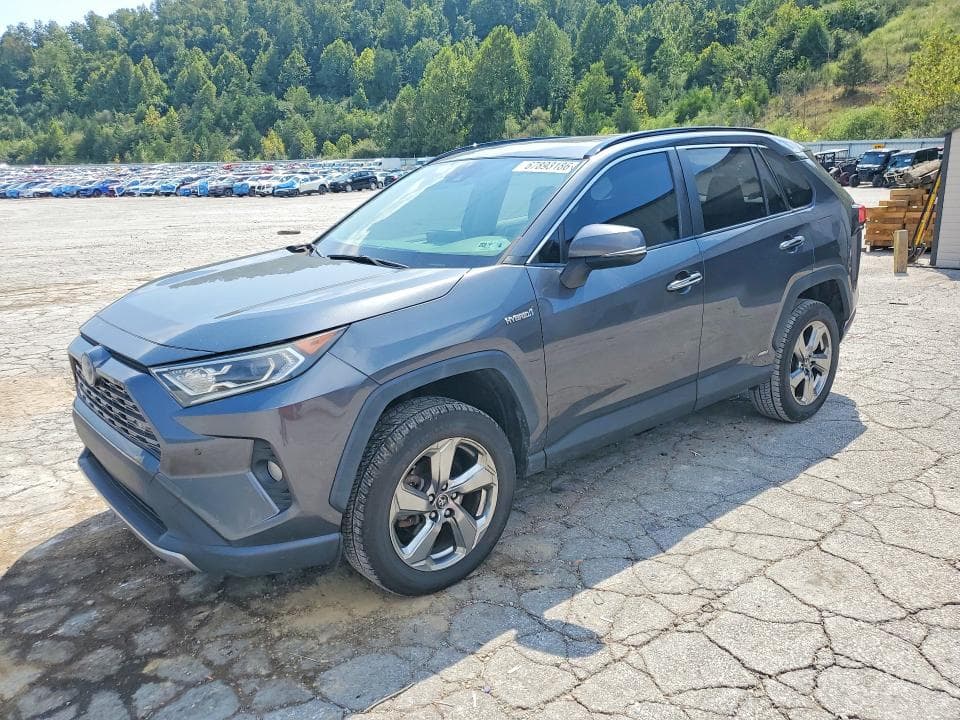 2019 TOYOTA RAV4 LIMITED - 1