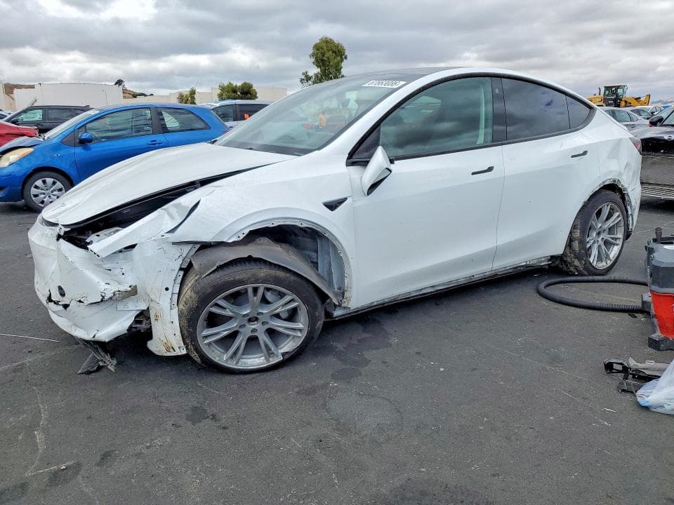 2021 TESLA MODEL Y - 1