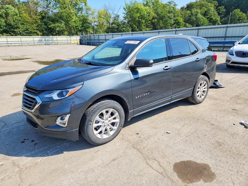 2019 CHEVROLET EQUINOX LS - 1