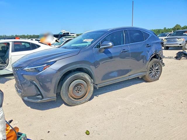 2024 LEXUS NX 250 PREMIUM - 1