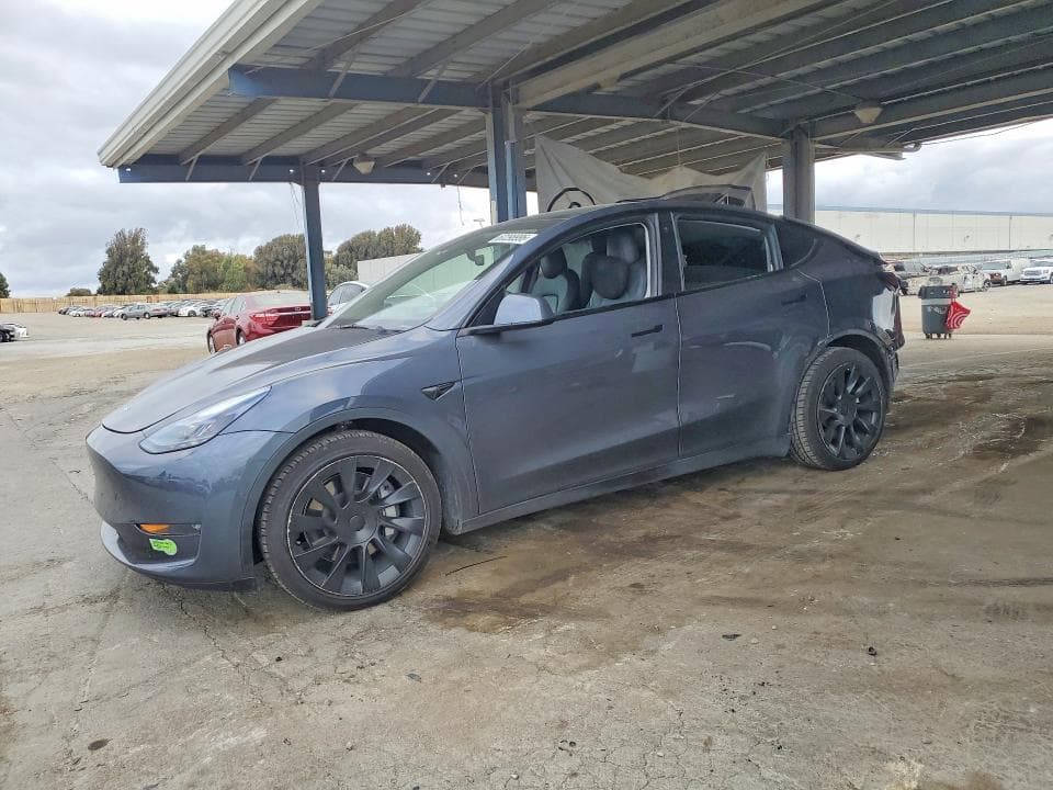 2022 TESLA MODEL Y - 1