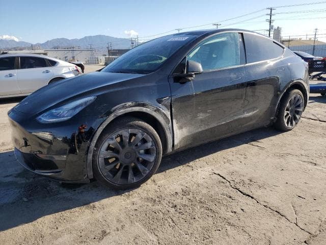 2021 TESLA MODEL Y - 1