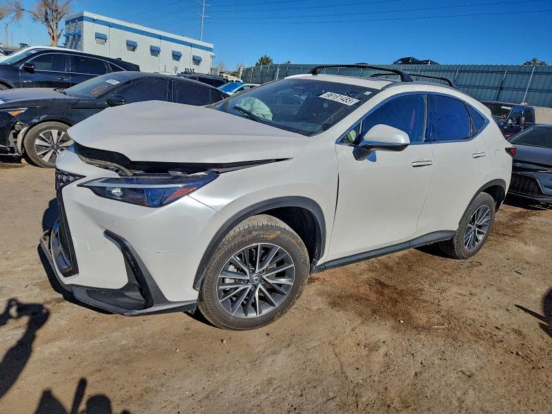 2025 LEXUS NX 350 - 1