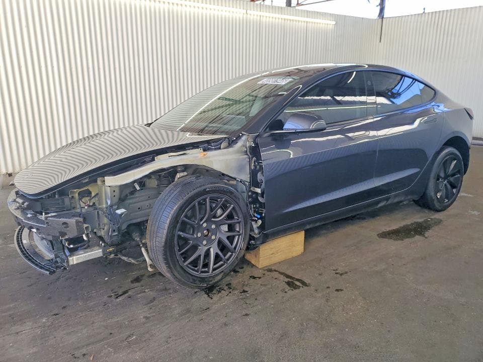 2025 TESLA MODEL 3 - 1