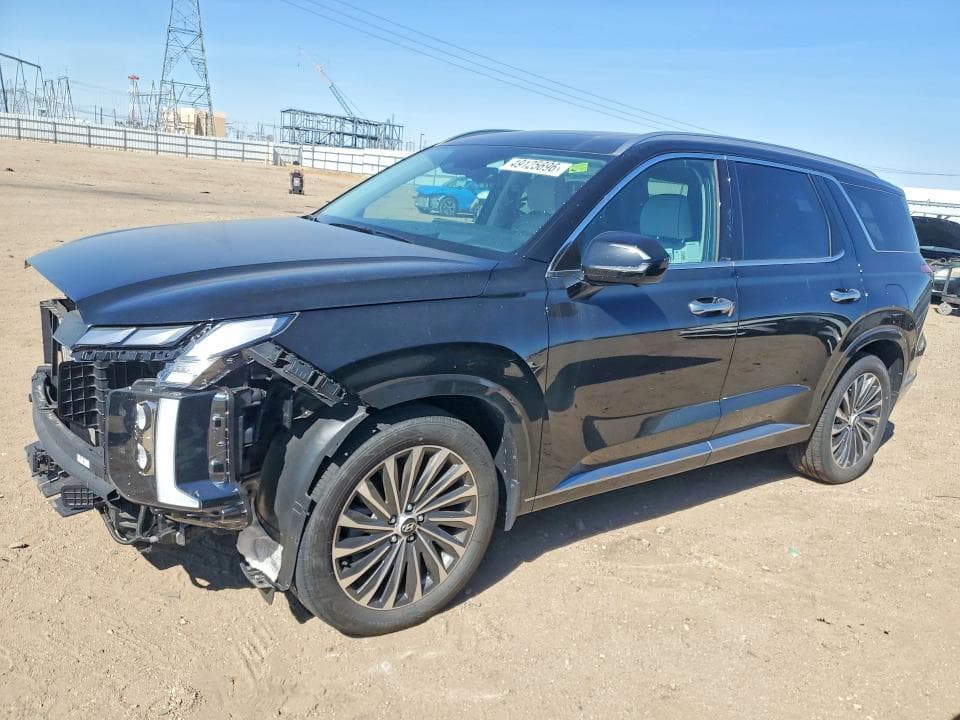 2025 HYUNDAI PALISADE CALLIGRAPHY CALLIGRAPHY - 1