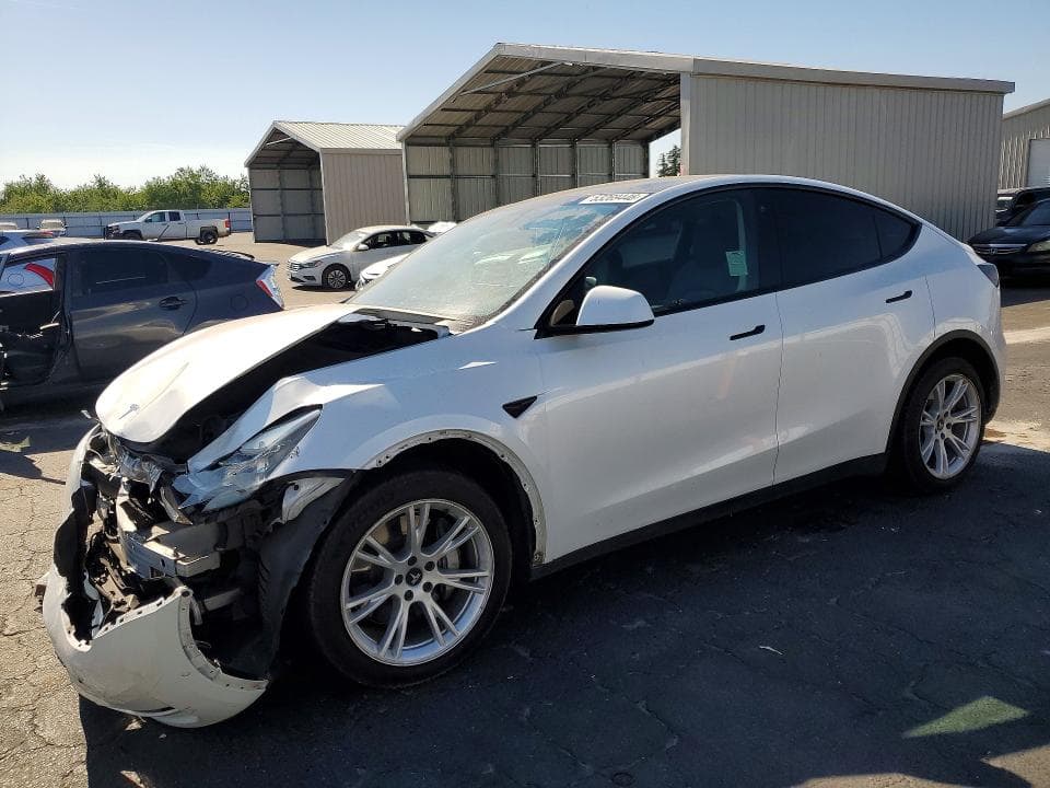 2021 TESLA MODEL Y - 1
