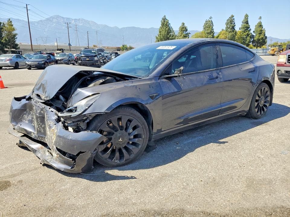 2021 TESLA MODEL 3 - 1