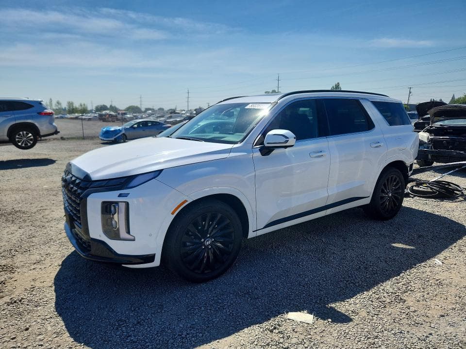 2025 HYUNDAI PALISADE CALLIGRAPHY NIGHT EDITION CALLIGRAPHY NIGHT EDITION - 1