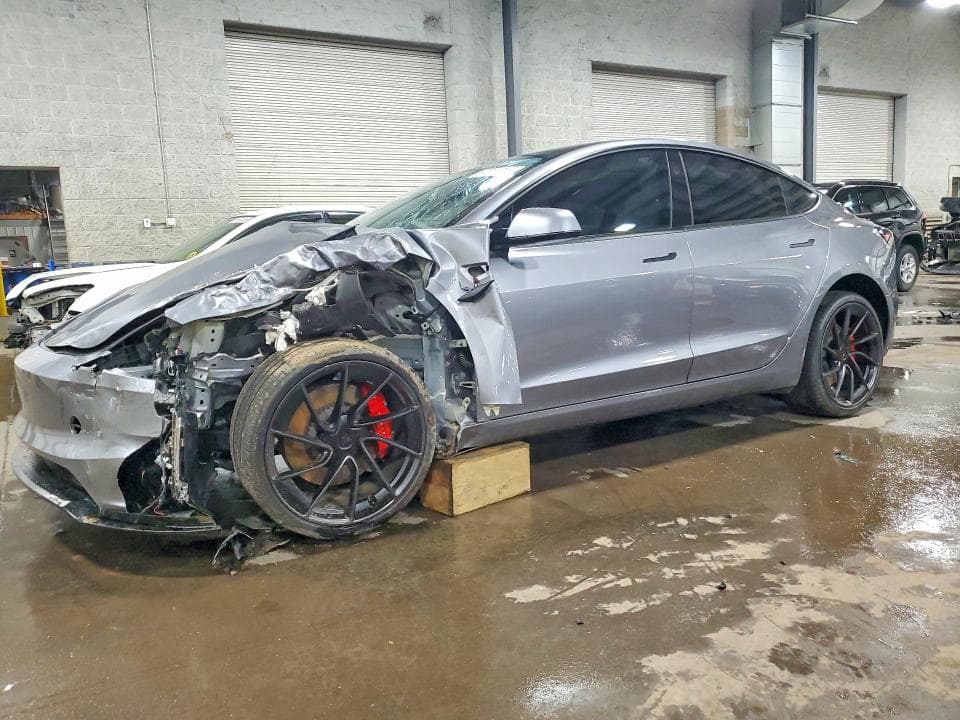 2025 TESLA MODEL 3 - 1