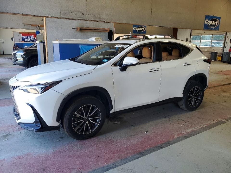 2024 LEXUS NX 350 PREMIUM