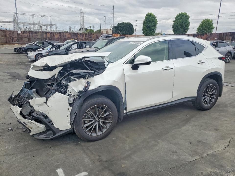 2025 LEXUS NX 250 PREMIUM