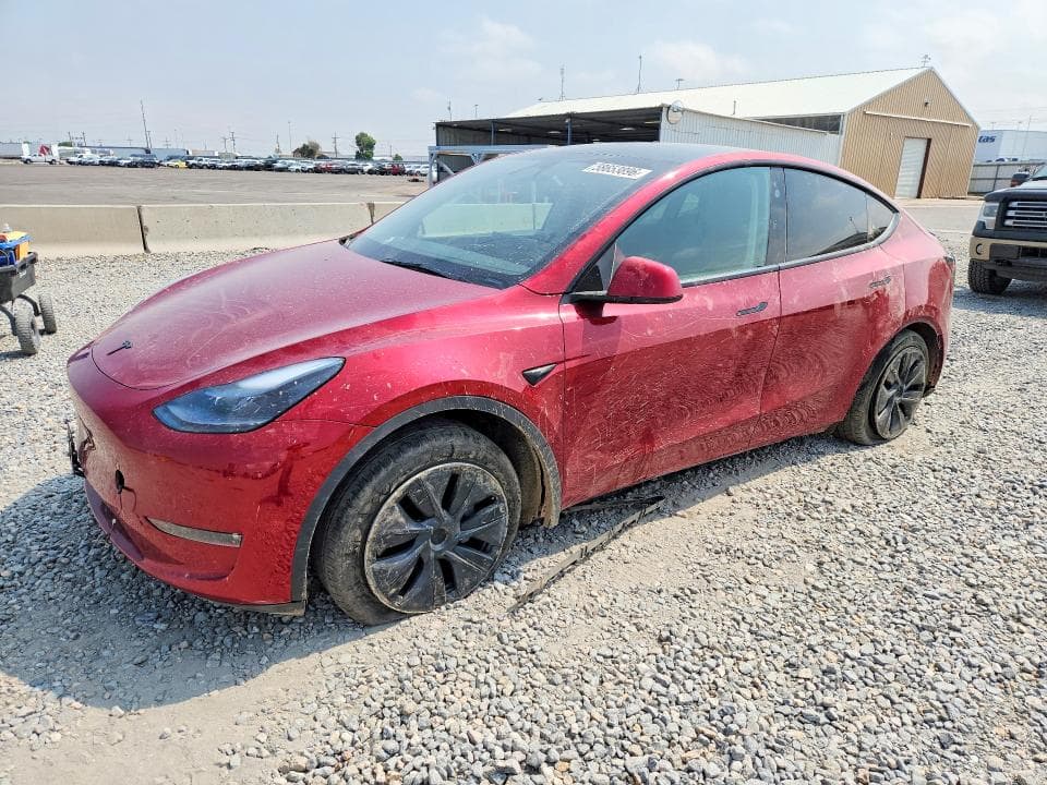 2025 TESLA MODEL Y - 1