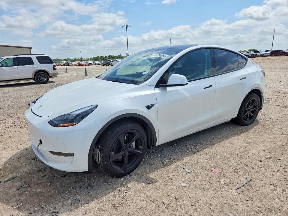 2025 TESLA MODEL Y - 1