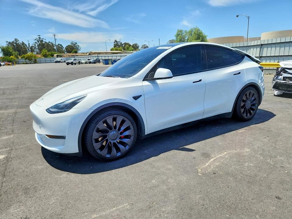 2023 TESLA MODEL Y - 1