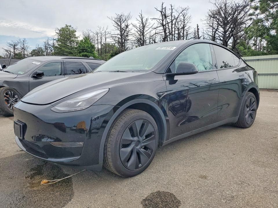 2025 TESLA MODEL Y - 1