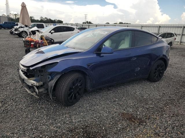 2021 TESLA MODEL Y - 1