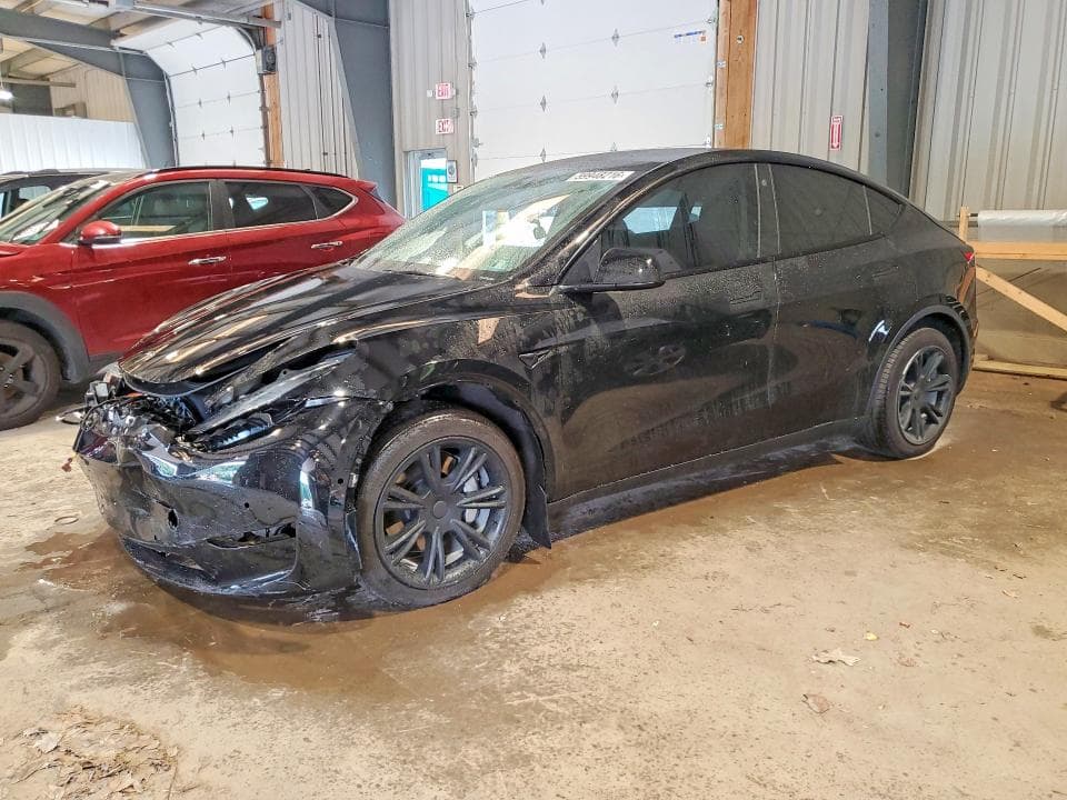 2021 TESLA MODEL Y - 1