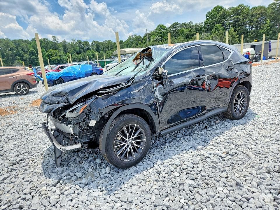 2024 LEXUS NX 250 PREMIUM - 1