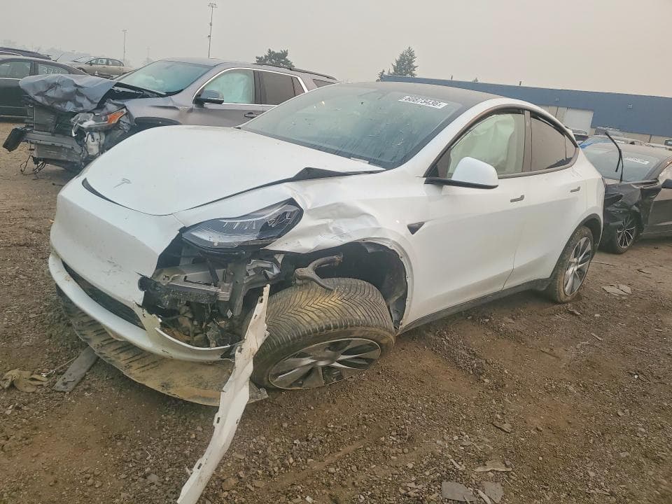 2021 TESLA MODEL Y - 1