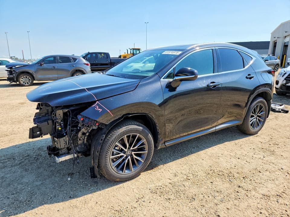 2025 LEXUS NX 350H PREMIUM - 1