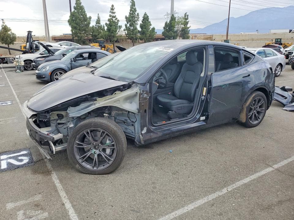 2025 TESLA MODEL Y - 1
