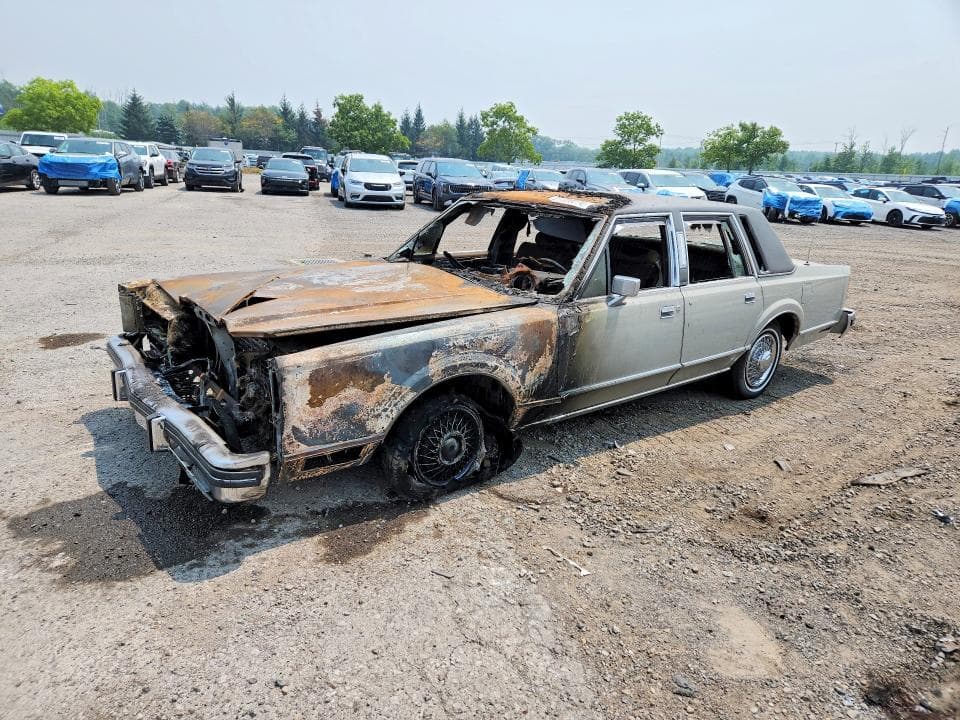 1982 LINCOLN TOWN CAR - 1