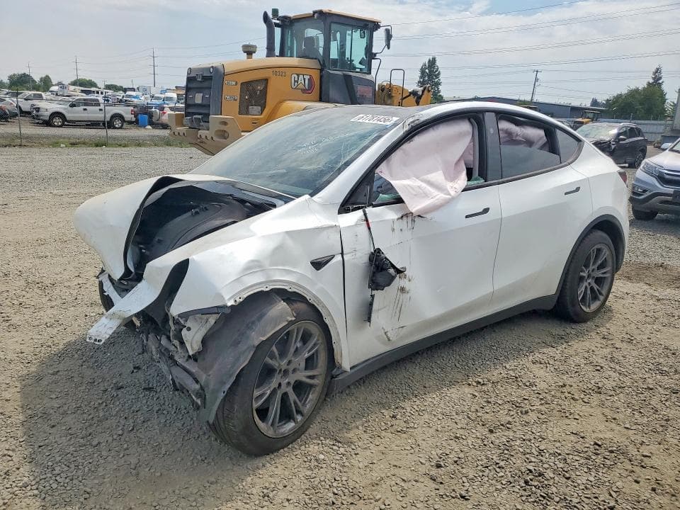2025 TESLA MODEL Y - 1