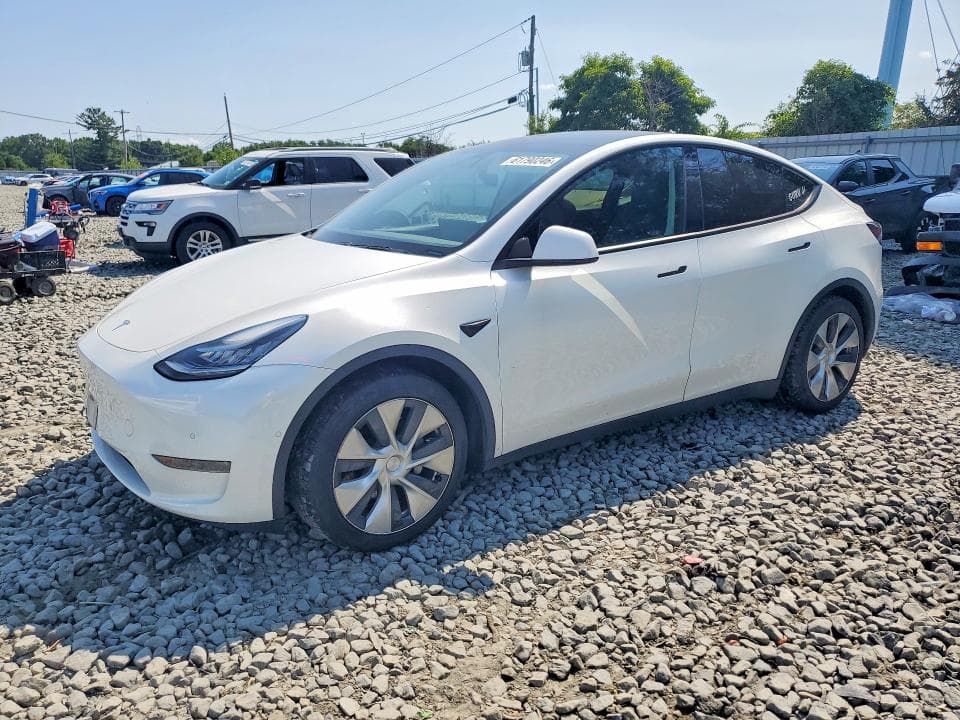 2021 TESLA MODEL Y - 1