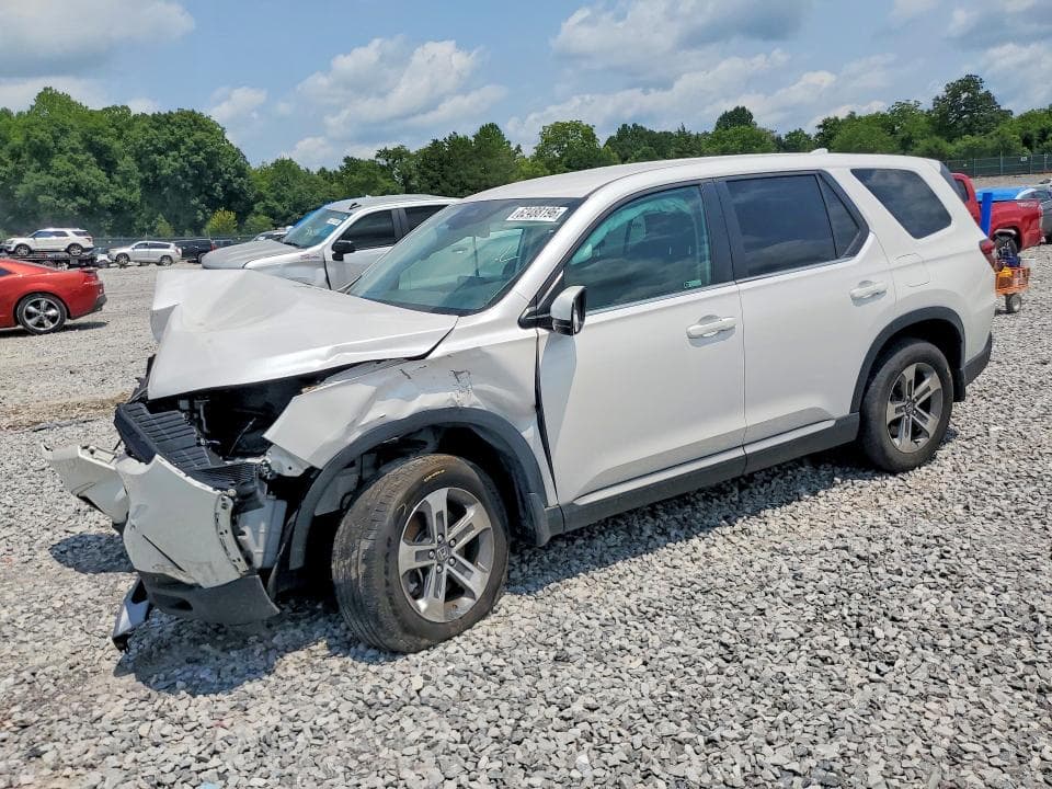 2024 HONDA PILOT EXL - 1