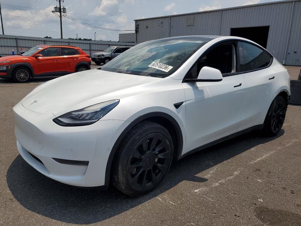 2020 TESLA MODEL Y - 1