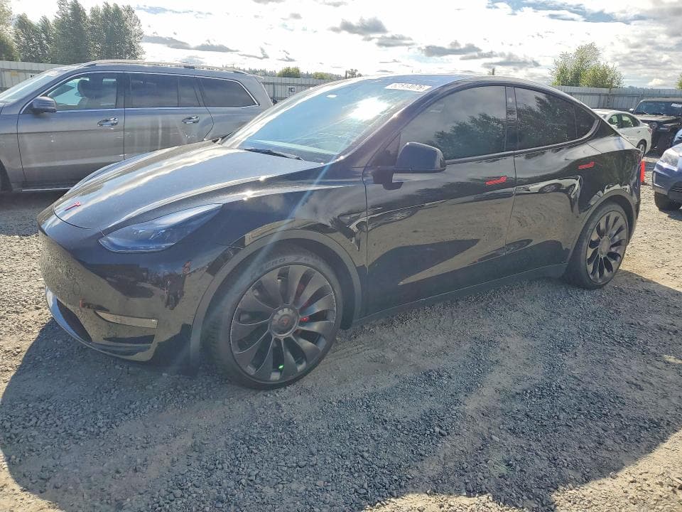 2021 TESLA MODEL Y - 1