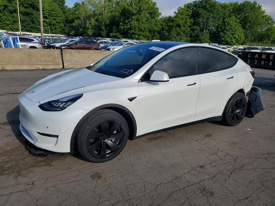 2021 TESLA MODEL Y - 1