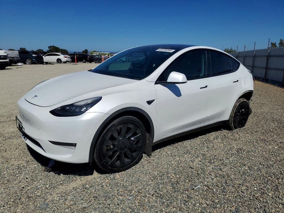 2021 TESLA MODEL Y - 1