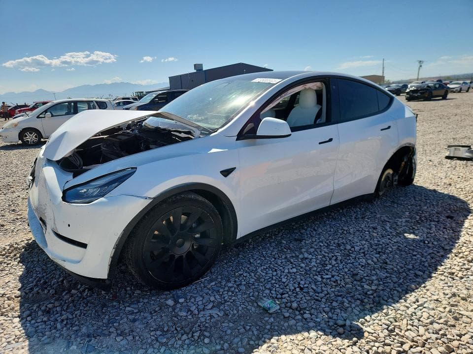 2021 TESLA MODEL Y - 1
