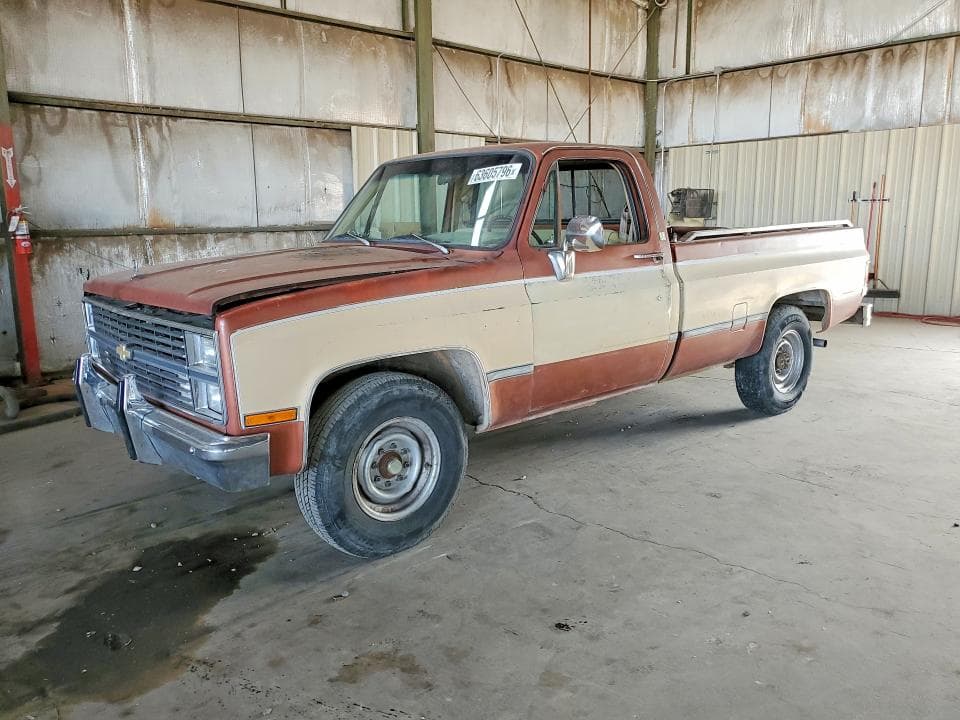 1983 CHEVROLET C20 - 1