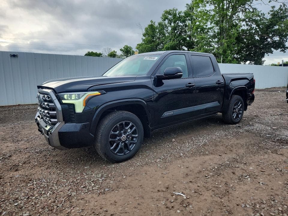 2024 TOYOTA TUNDRA PLATINUM - 1