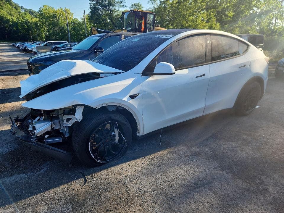 2026 TESLA MODEL Y - 1