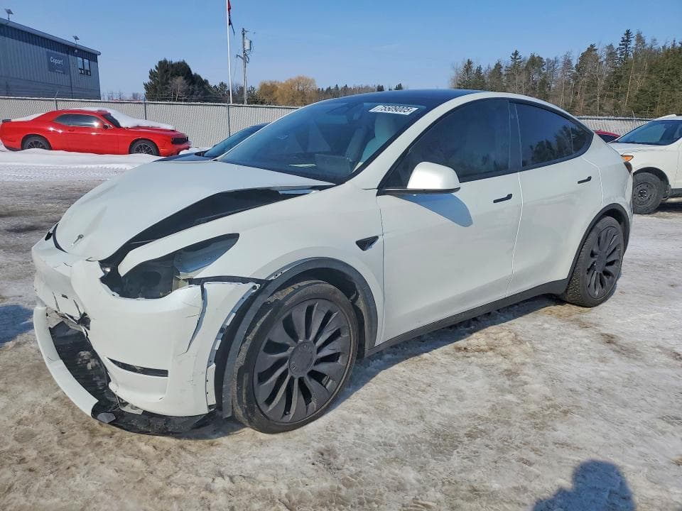 2023 TESLA MODEL Y - 1