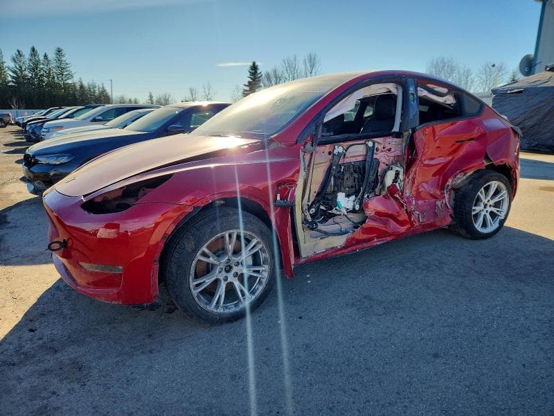 2021 TESLA MODEL Y - 1
