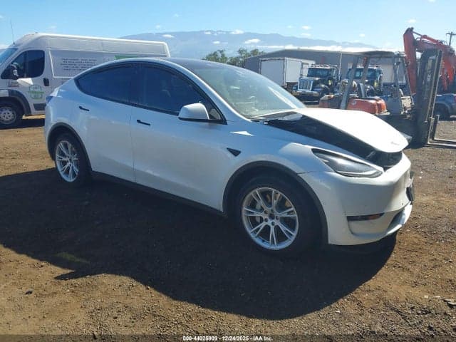2022 TESLA MODEL Y - 1