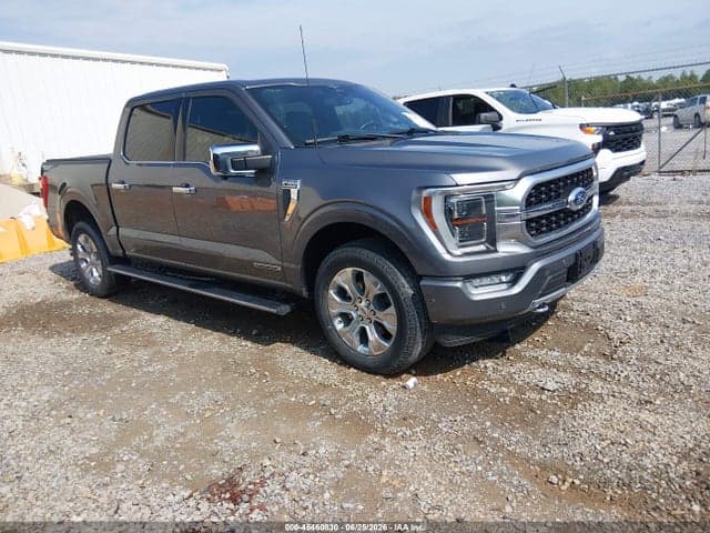 2023 FORD F-150 PLATINUM - 1