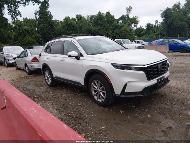 2025 HONDA CR-V EX-L AWD - 1