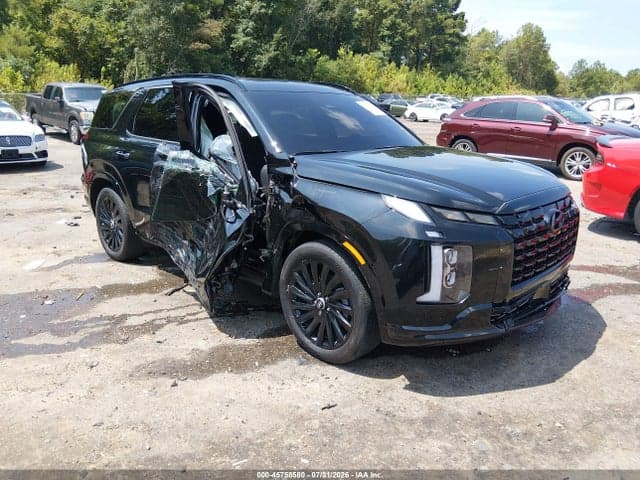 2025 HYUNDAI PALISADE CALLIGRAPHY NIGHT EDITION - 1